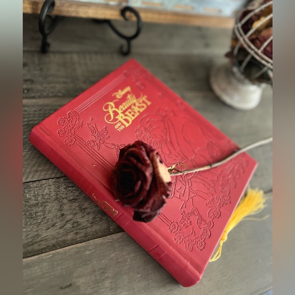 Disney Beauty and the Beast Hardcover Journal - Picture 4 of 5